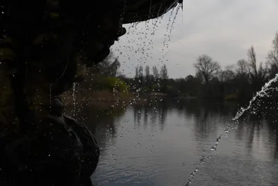 DSC_6907 (Large).JPG